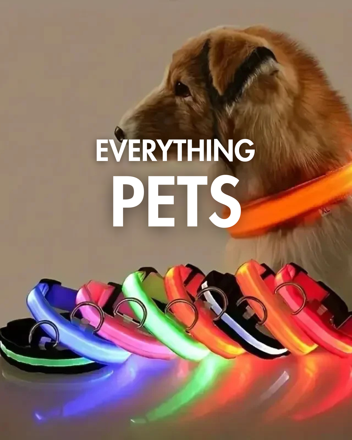 Pets