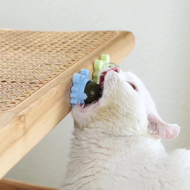 Pet Stuff Healthy Cat Catnip Toys Ball Cat Candy Licking Snacks Catnip Snack Nutrition Energy Ball Kitten Cat Toy Cat Supplies