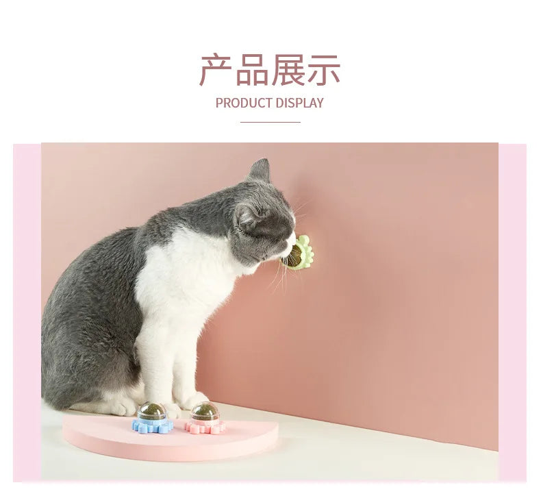 Pet Stuff Healthy Cat Catnip Toys Ball Cat Candy Licking Snacks Catnip Snack Nutrition Energy Ball Kitten Cat Toy Cat Supplies