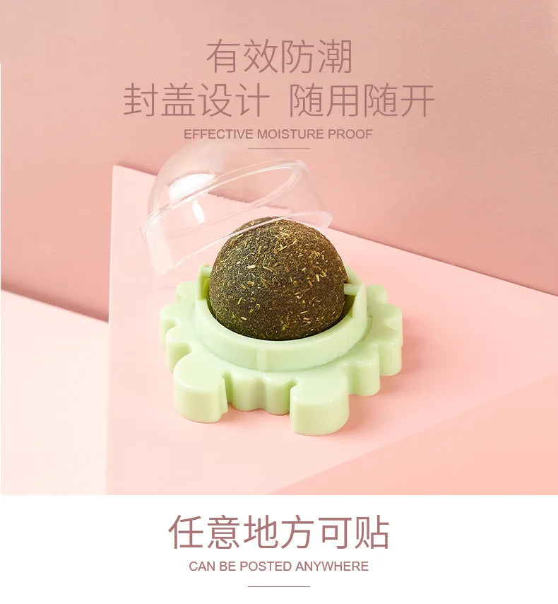 Pet Stuff Healthy Cat Catnip Toys Ball Cat Candy Licking Snacks Catnip Snack Nutrition Energy Ball Kitten Cat Toy Cat Supplies